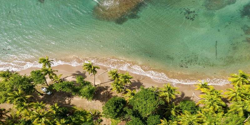 Vietnam and Dominica Explore Enhanced Cooperation in Culture, Sports, and Tourism